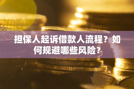 济南担保人起诉借款人流程？如何规避哪些风险？