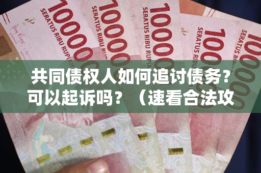 济南共同债权人如何追讨债务？可以起诉吗？（速看合法攻略）