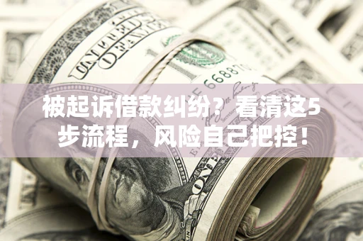 济南被起诉借款纠纷？看清这5步流程，风险自己把控！